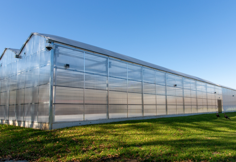 Green House for LSL Management in their new Cannabis Cultivation Facility in St. Louis, MO